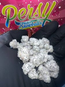 PERSY SNOWCAPS- CANDY LASTEST EDITION