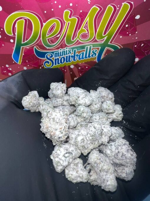 PERSY SNOWCAPS- CANDY LASTEST EDITION