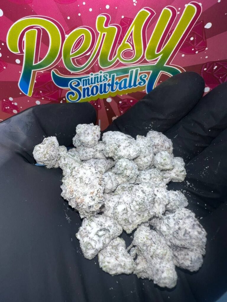 PERSY SNOWCAPS- CANDY LASTEST EDITION