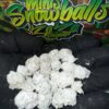 PERSY SNOWCAPS - Zaza Edition