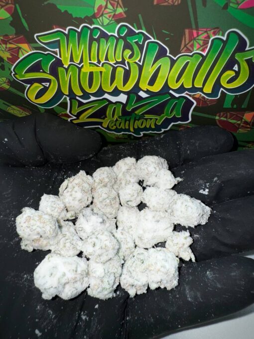 PERSY SNOWCAPS - Zaza Edition