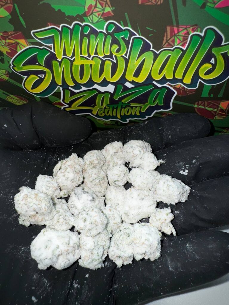 PERSY SNOWCAPS - Zaza Edition