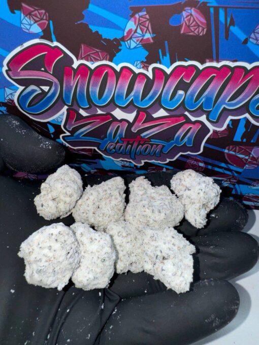PERSY SNOWCAPS - Zaza Edition