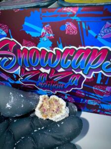 PERSY SNOWCAPS - Zaza Edition