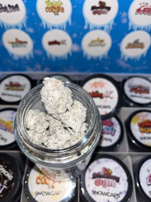 PERSY SNOWCAPS - FIRST EDITION